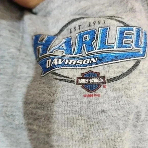 HARLEY Davidson Vintage 99 Crete, IL Tee. 2xl - Picture 5 of 6